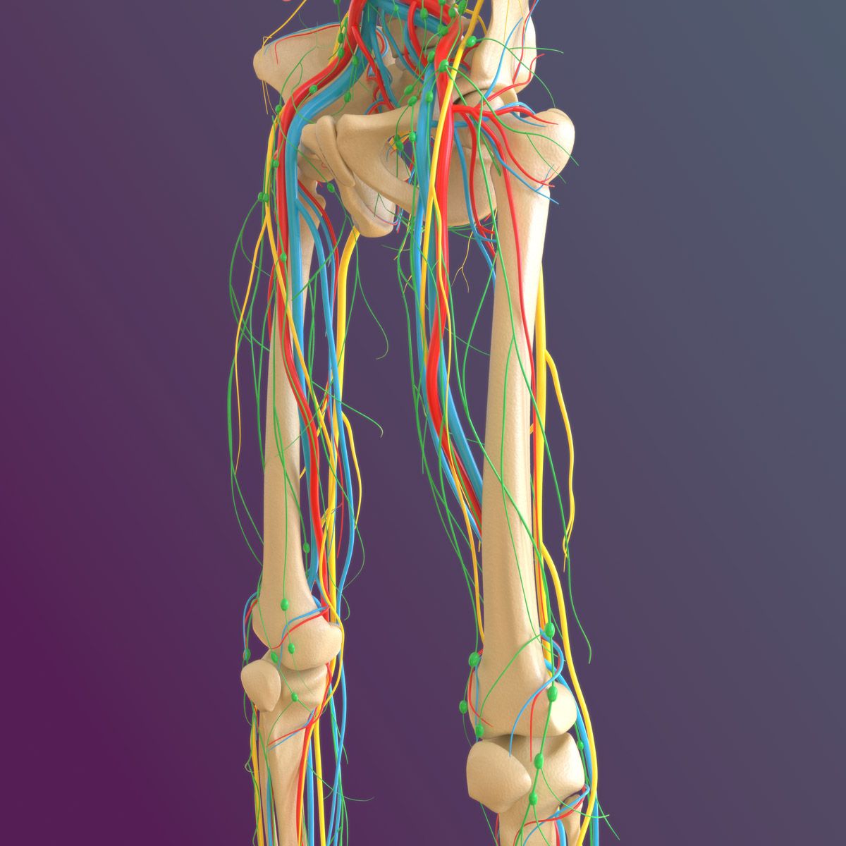 Endofibrosis detalle Endofibrosis detalle