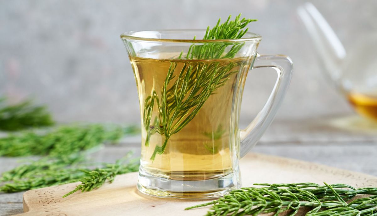 Descubre las infusiones diuréticas que te ayudan a eliminar la retención de líquidos. Cola de caballo.