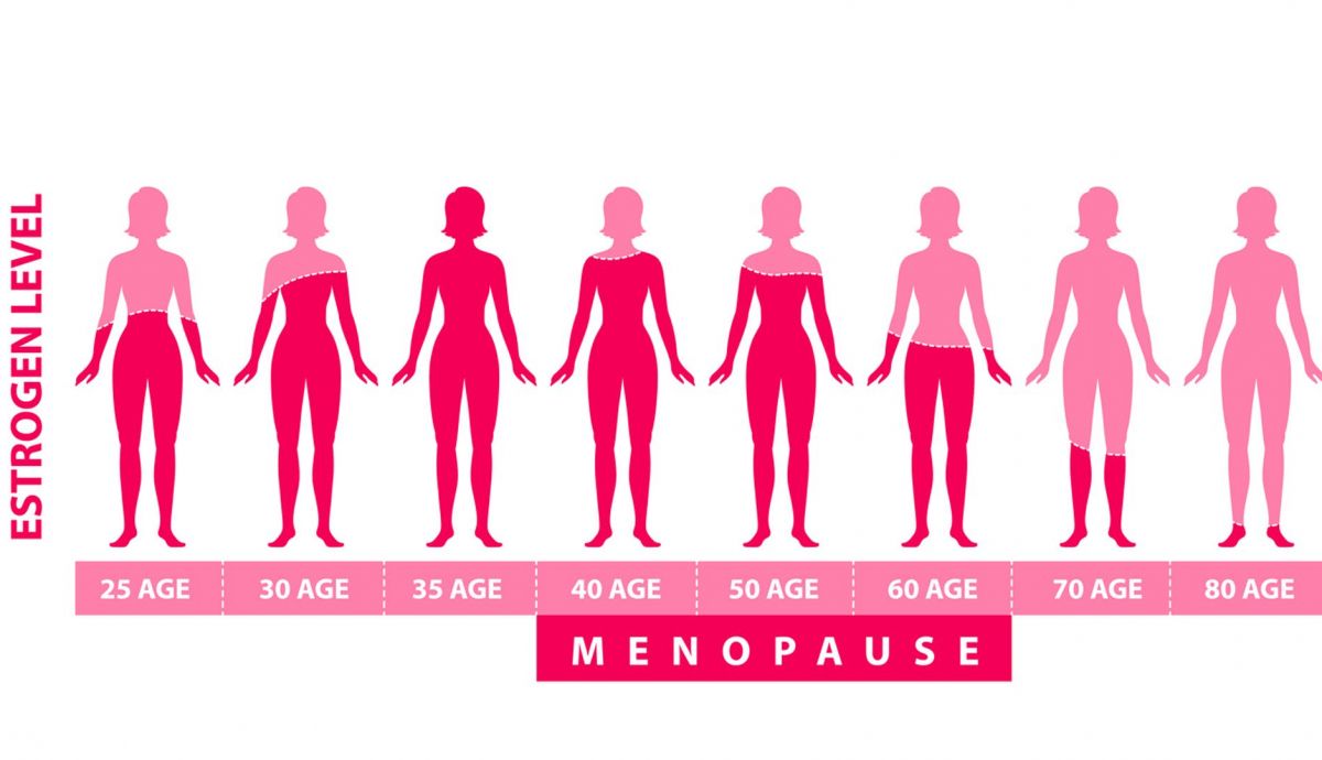Cómo mantener los niveles de estrógenos altos de forma natural en la peri y menopausia Cómo mantener los niveles de estrógenos altos de forma natural en la peri y menopausia