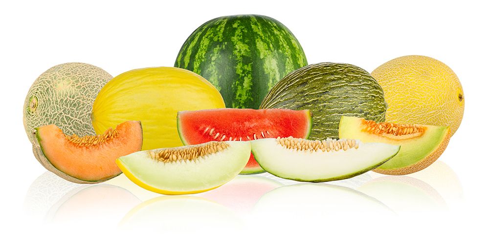 Variedades de melones Variedades de melones