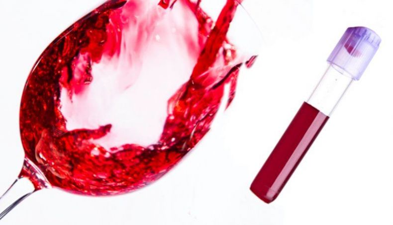Vino tinto y sangre Vino tinto y sangre