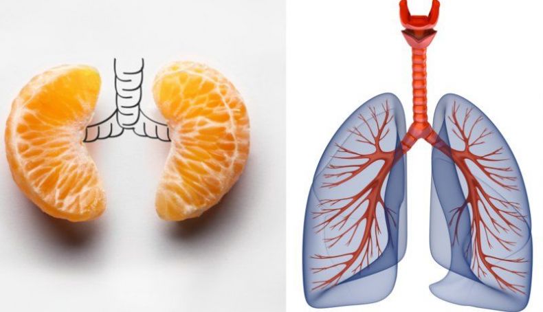 Mandarinas y pulmones Mandarinas y pulmones
