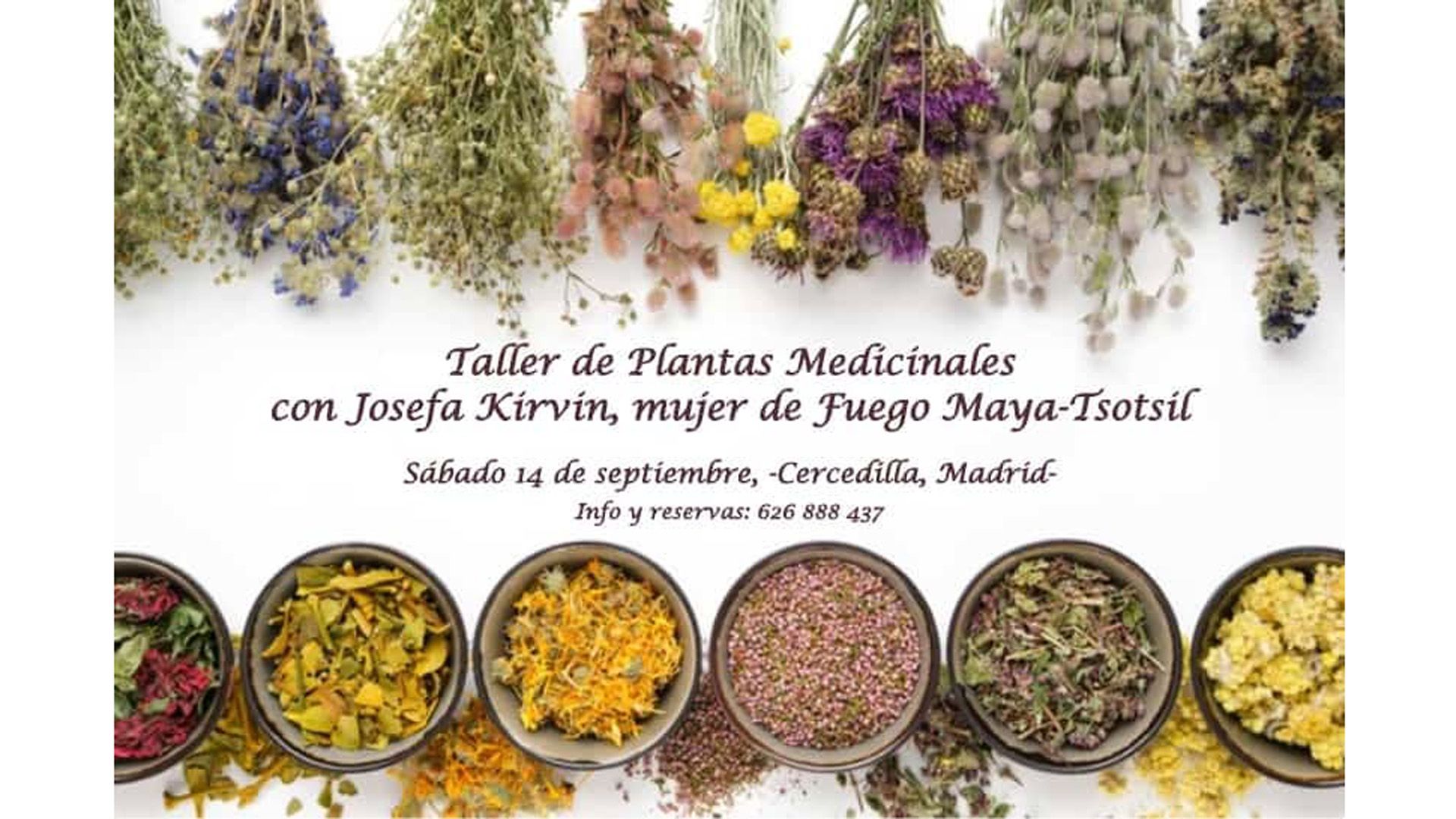 Taller de Plantas Medicinales con Josefa K. K., terapeuta y mujer de fuego Maya Tsotsil