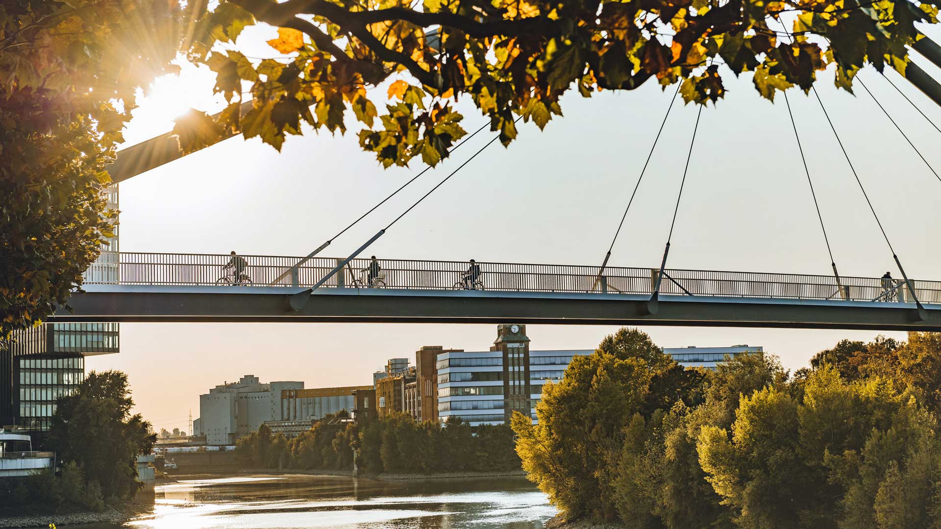 Vía ciclista sobre el Rin en Düsseldorf (Foto: iStock)