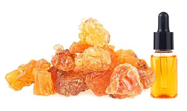 Boswellia Boswellia