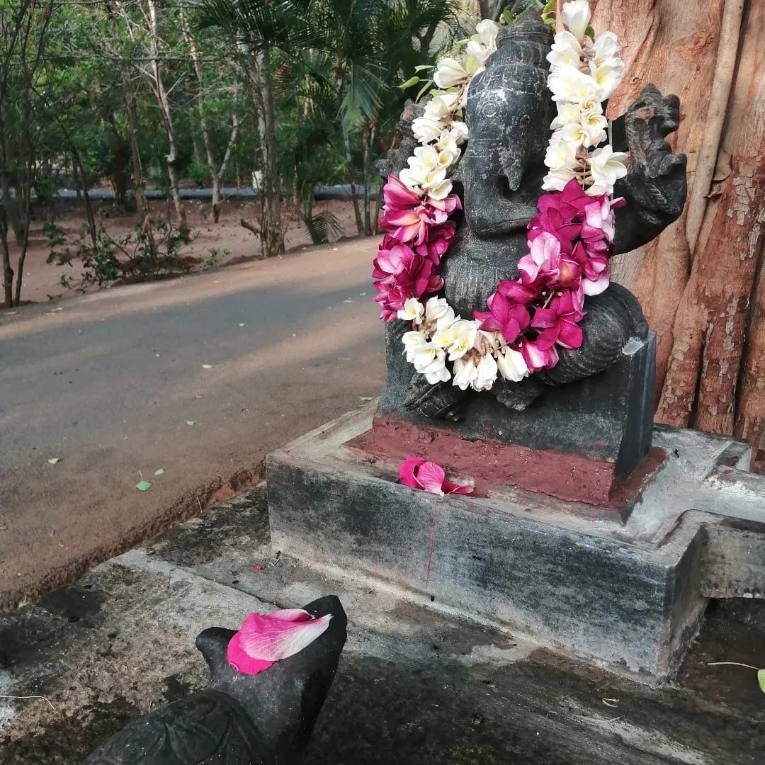 Viaje de retiro de Panchakarma de Ayurveda en India