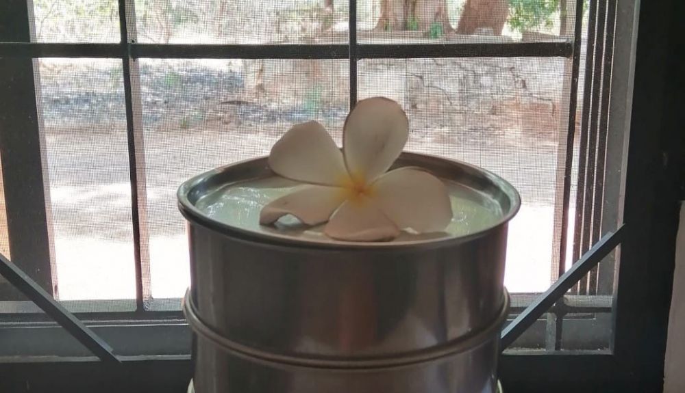 Viaje de Ayurveda con Panchakarma en India Viaje de Ayurveda con Panchakarma en India