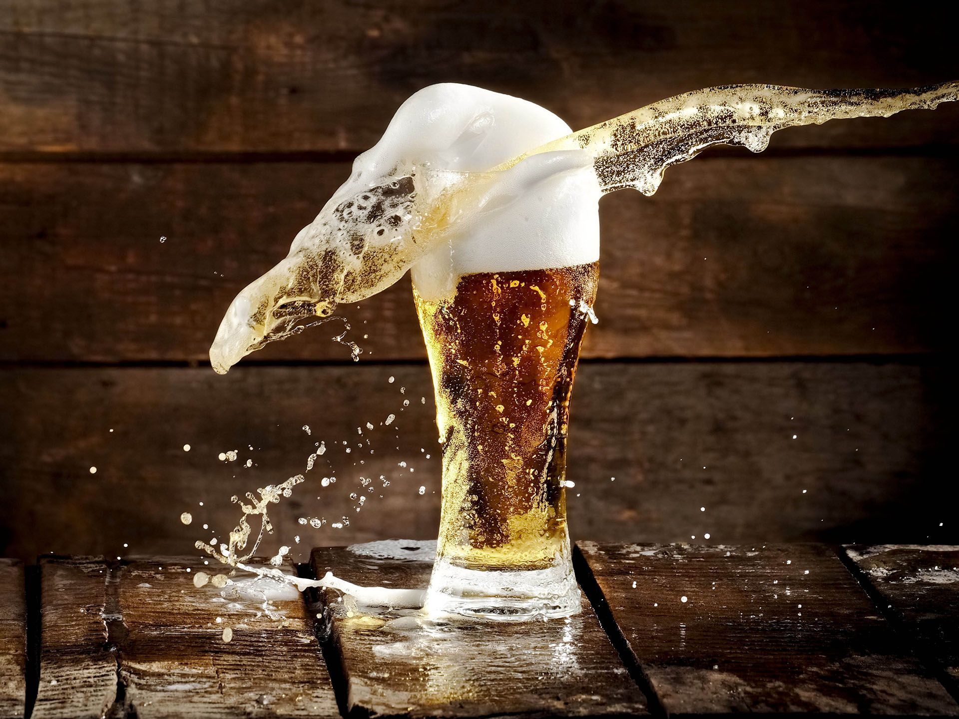 Consumo cerveza Harvard