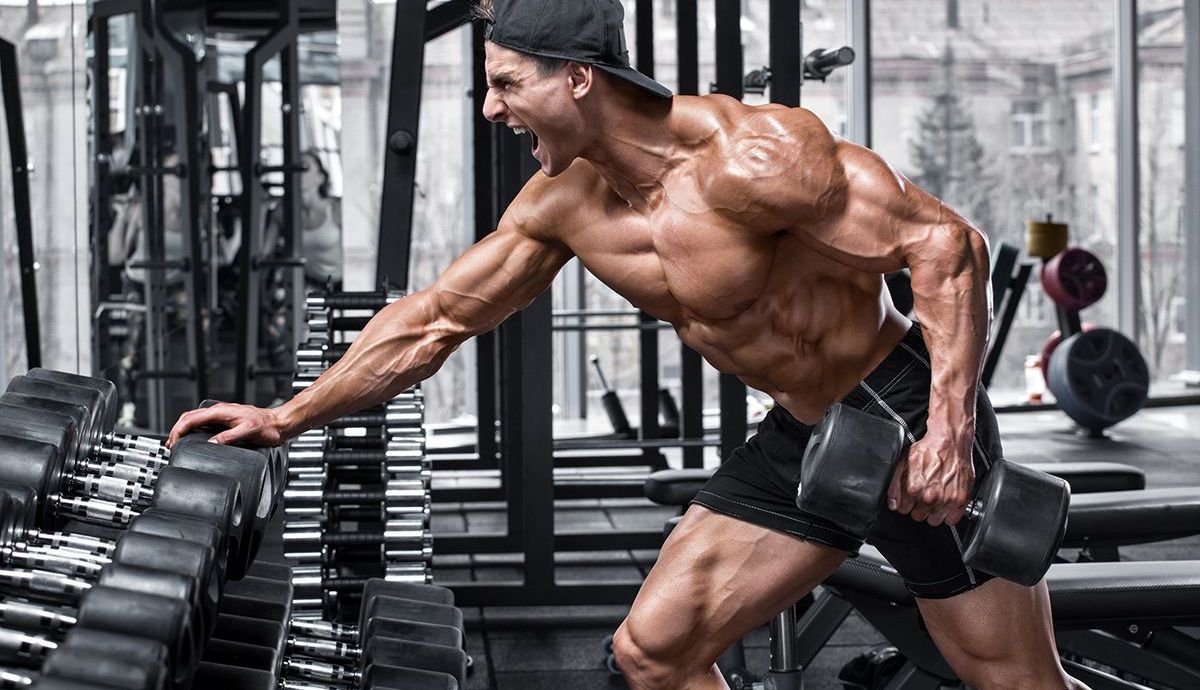 ¿Qué fase de los ejercicios provoca mayor ganancia de masa muscular?