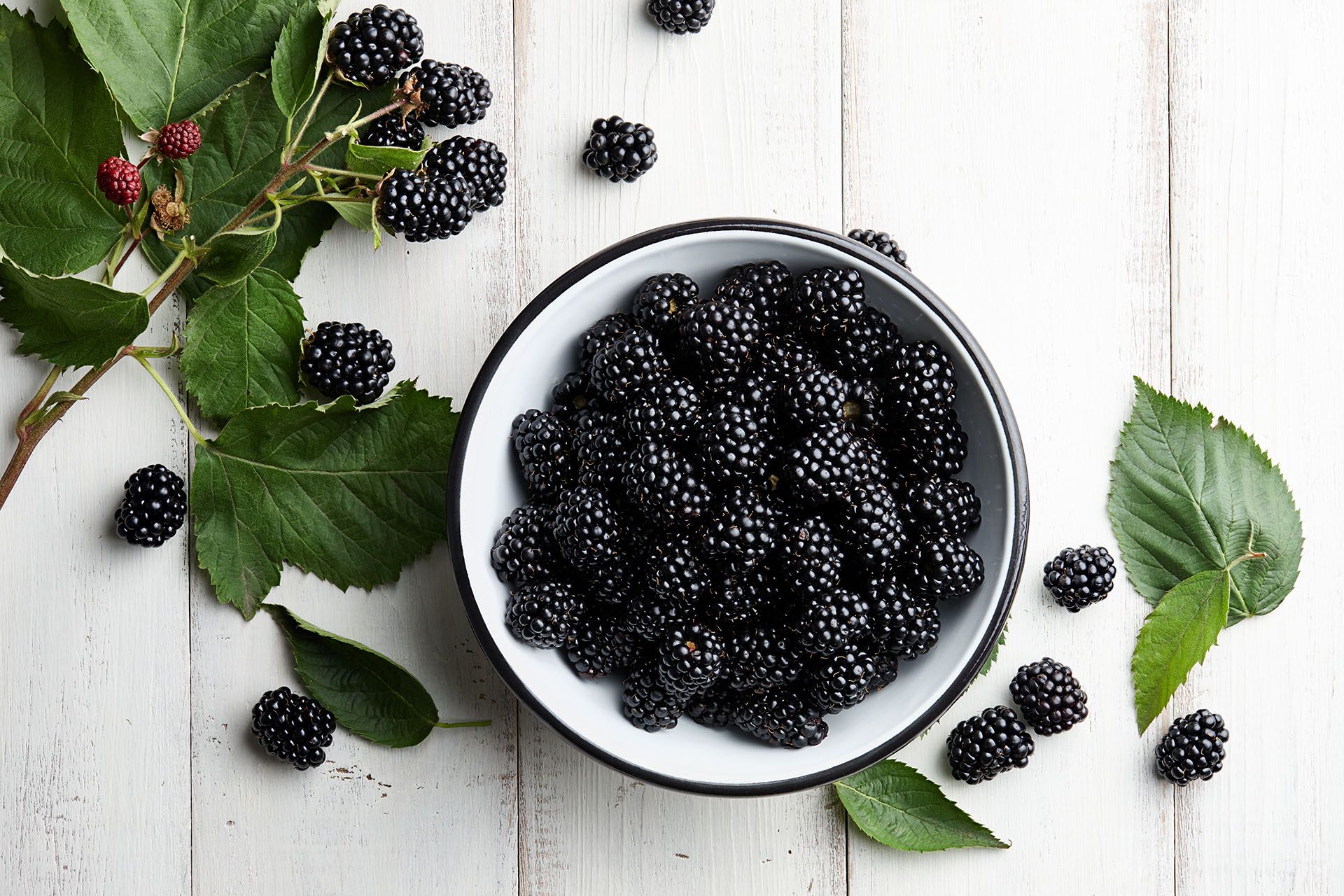 Las moras, un superalimento para el rendimiento físico y mental