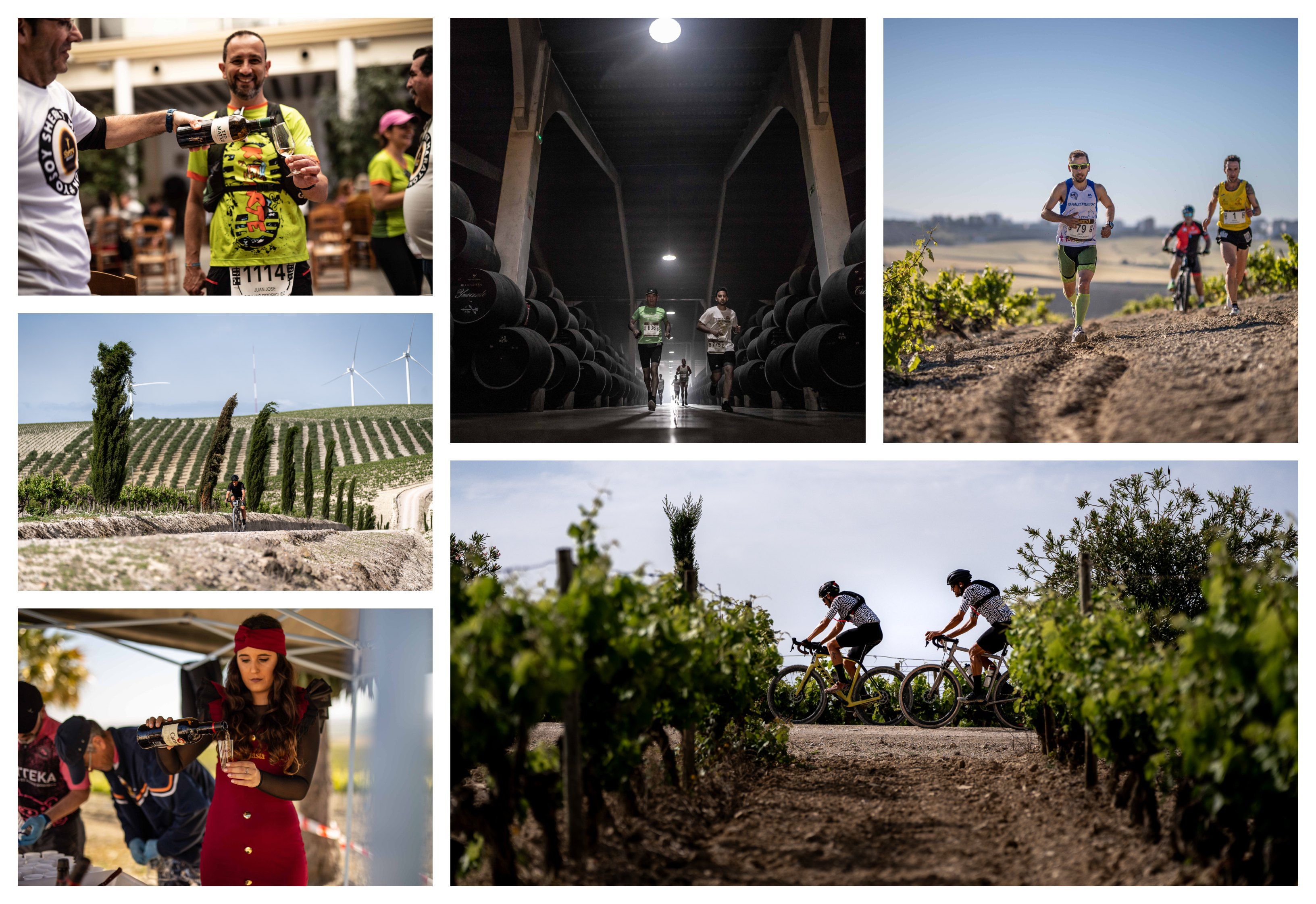 Así será Sherry Maratón, el evento que fusiona deporte, enología y gastronomía en el Marco de Jerez