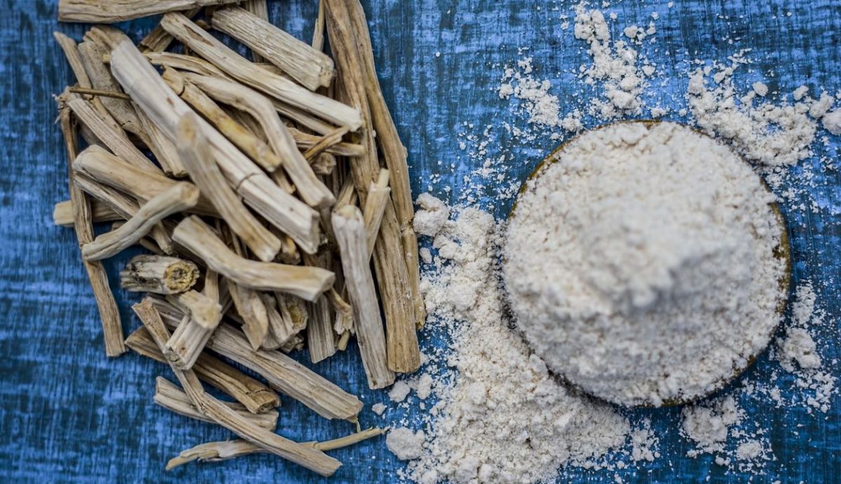 Shatavari o Asparagus racemosus, la raíz india para ganar masa muscular Shatavari o Asparagus racemosus, la raíz india para ganar masa muscular