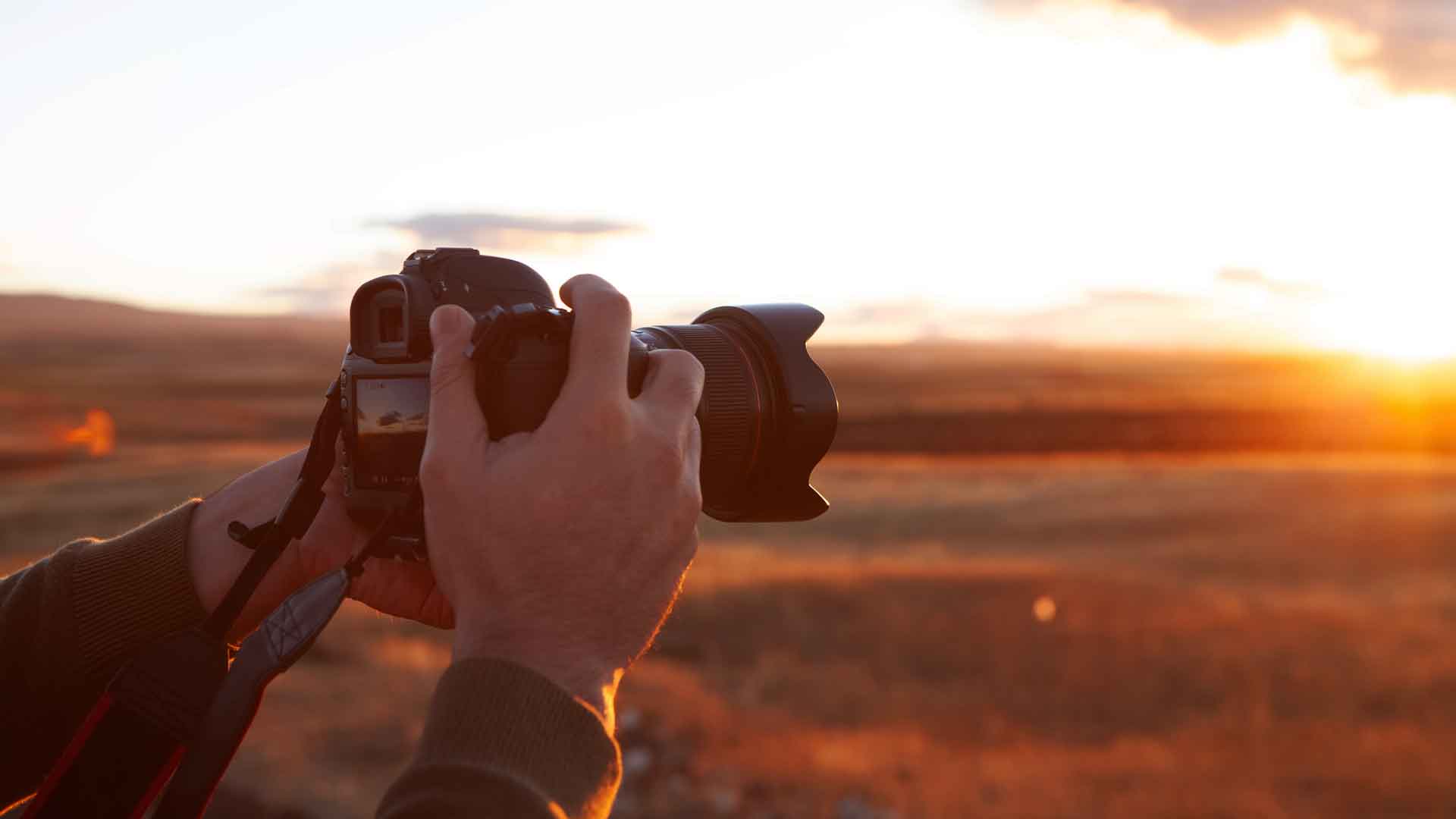 Los tres pilares de la fotografía en la naturaleza (Foto: iStock)