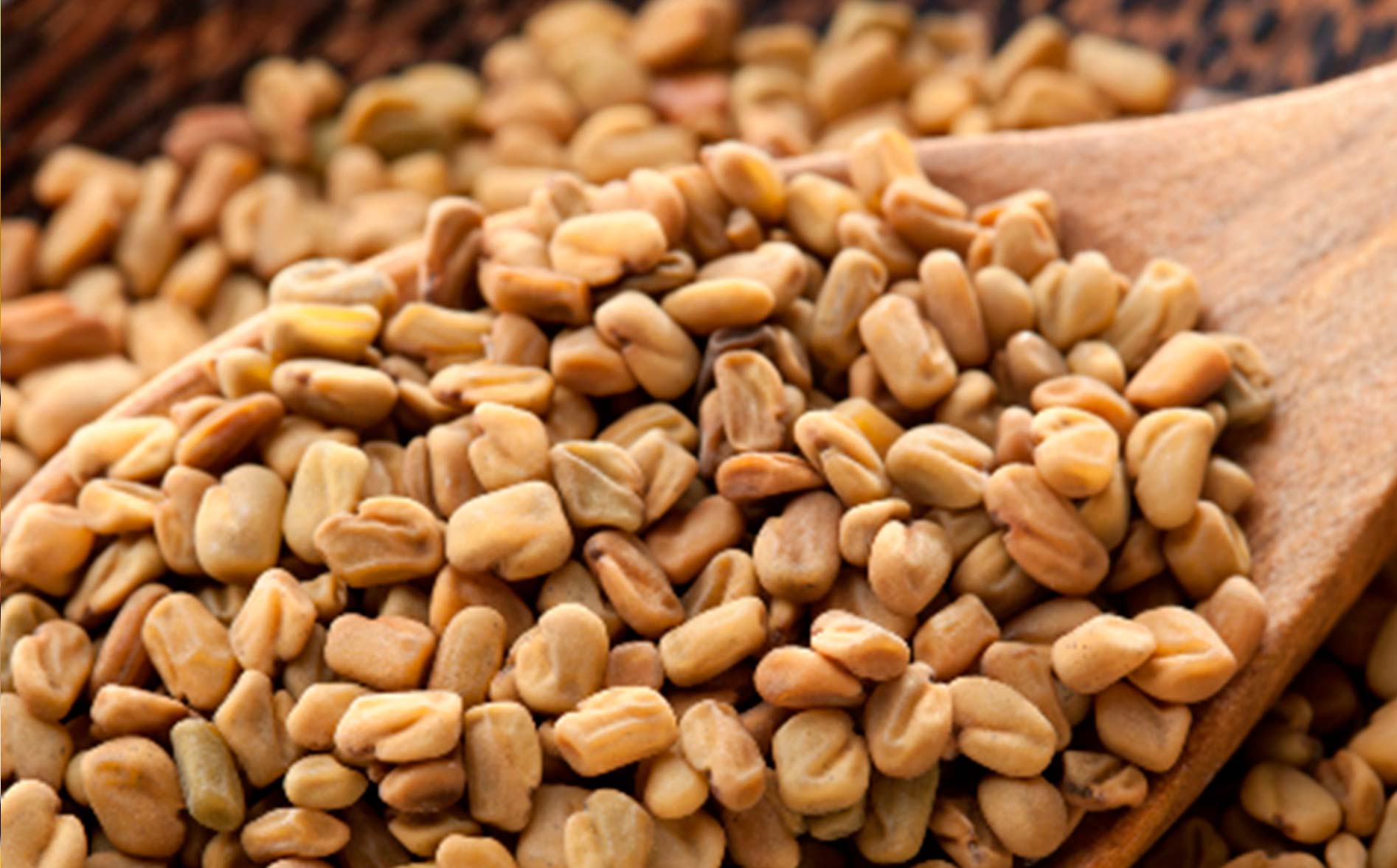 Fenogreco, el alimento que te ayuda a adelgazar sin pasar hambre y ganando músculo