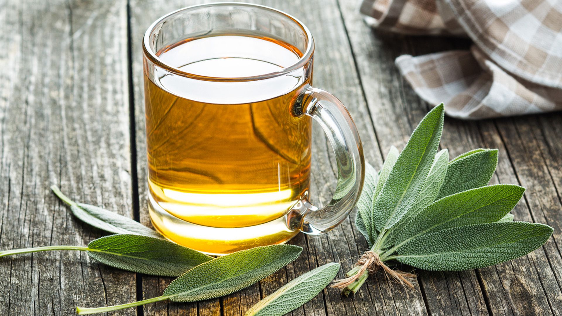 Beneficios de la salvia para personas deportistas