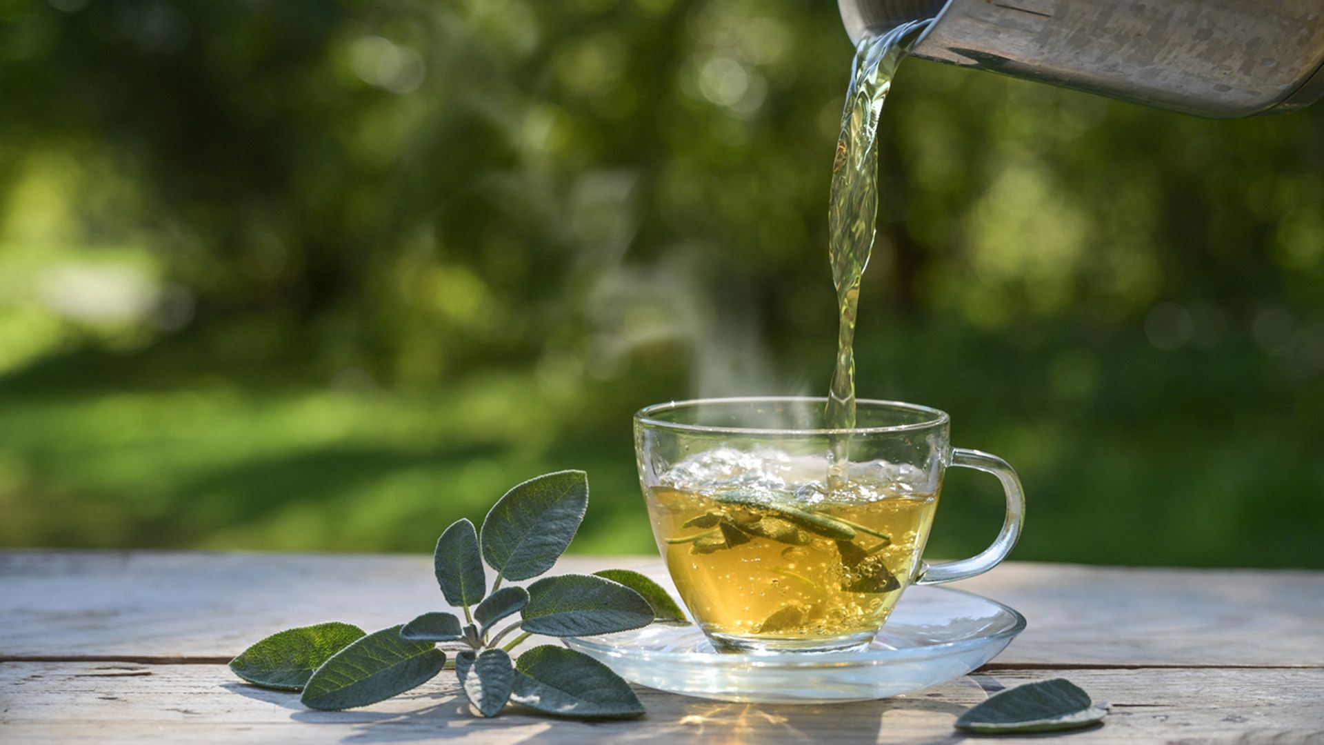 Beneficios para deportistas de la infusión de Salvia officinalis