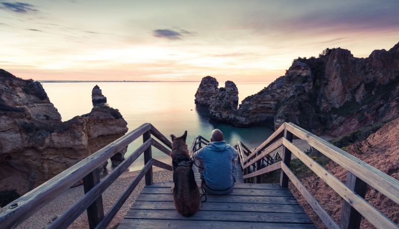 iStock 862014158 iStock 862014158