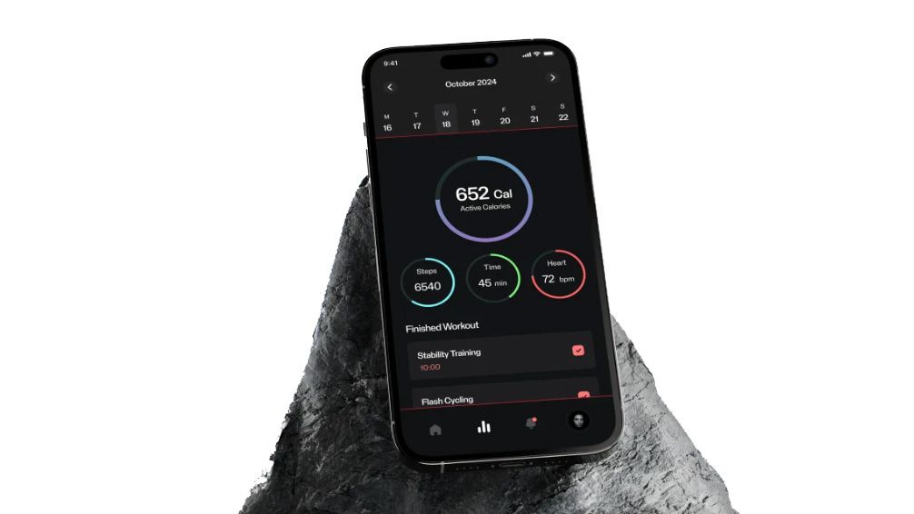 polar 360 app