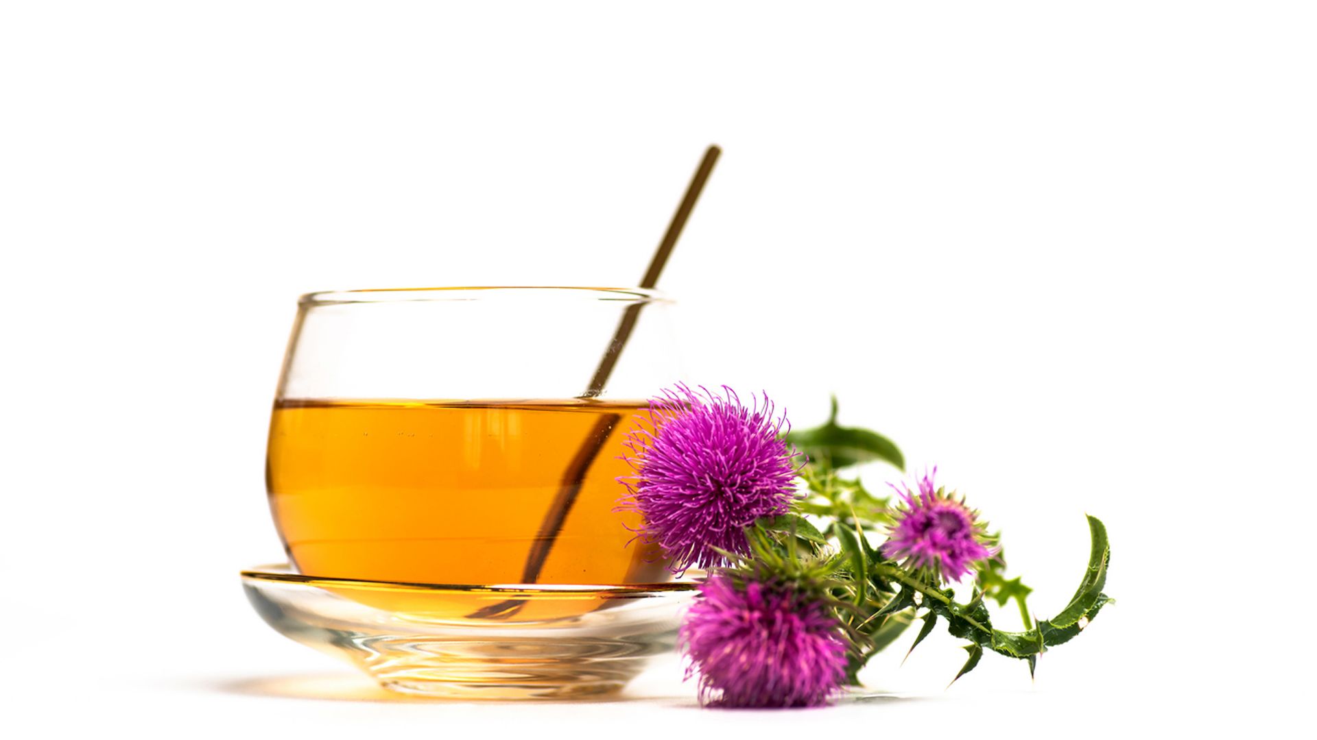 Infusión de cardo mariano para el hígado