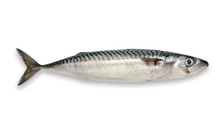 La Caballa