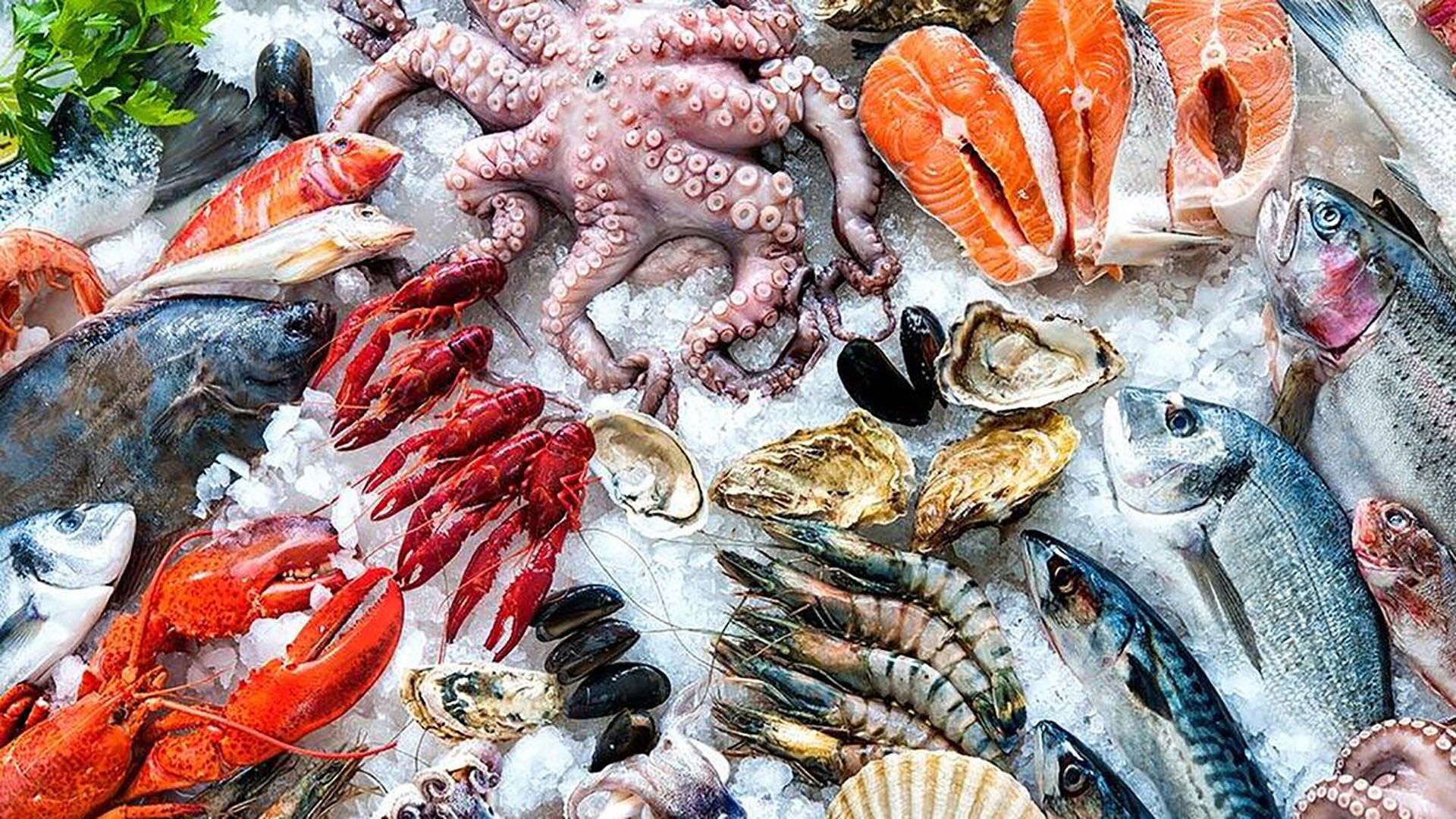 Estos 8 pescados son los que tienen los niveles de mercurio más elevados