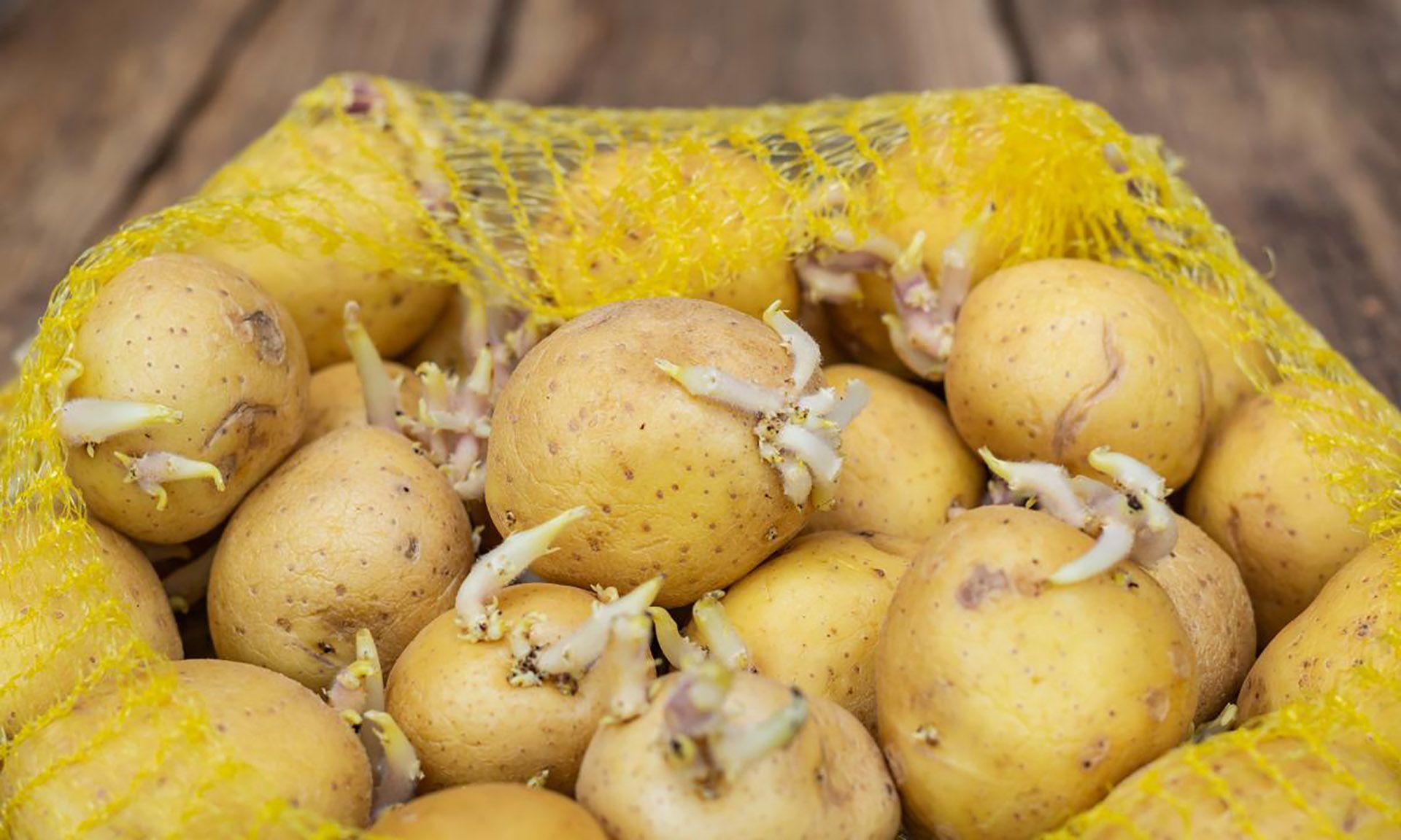 Patatas con brotes salud