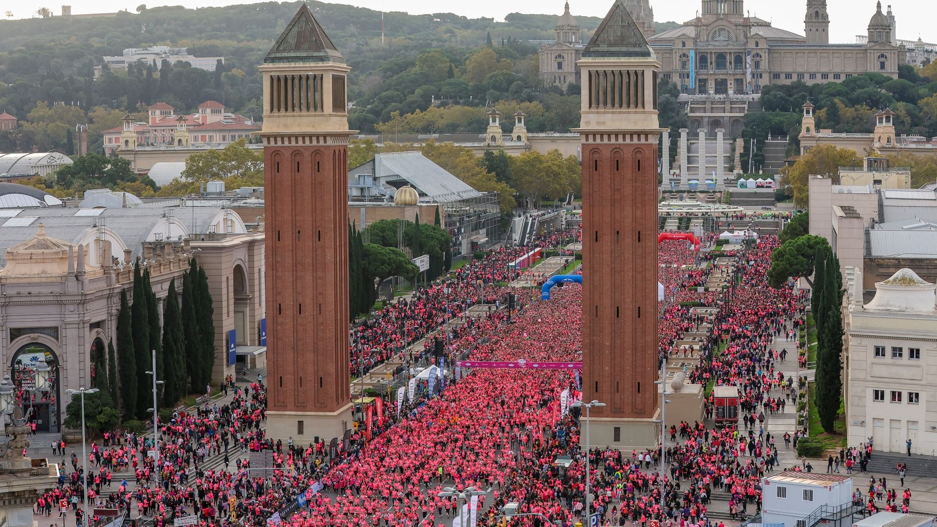 MRW, transporte oficial de la Carrera de la Mujer MRW, transporte oficial de la Carrera de la Mujer