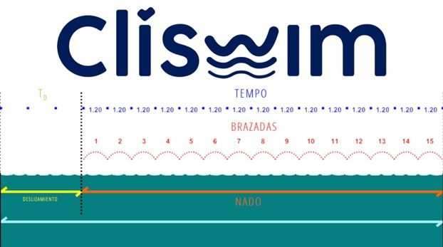 Tabla 2 natacion CÓMO CONTAR BRAZADAS POR LARGO