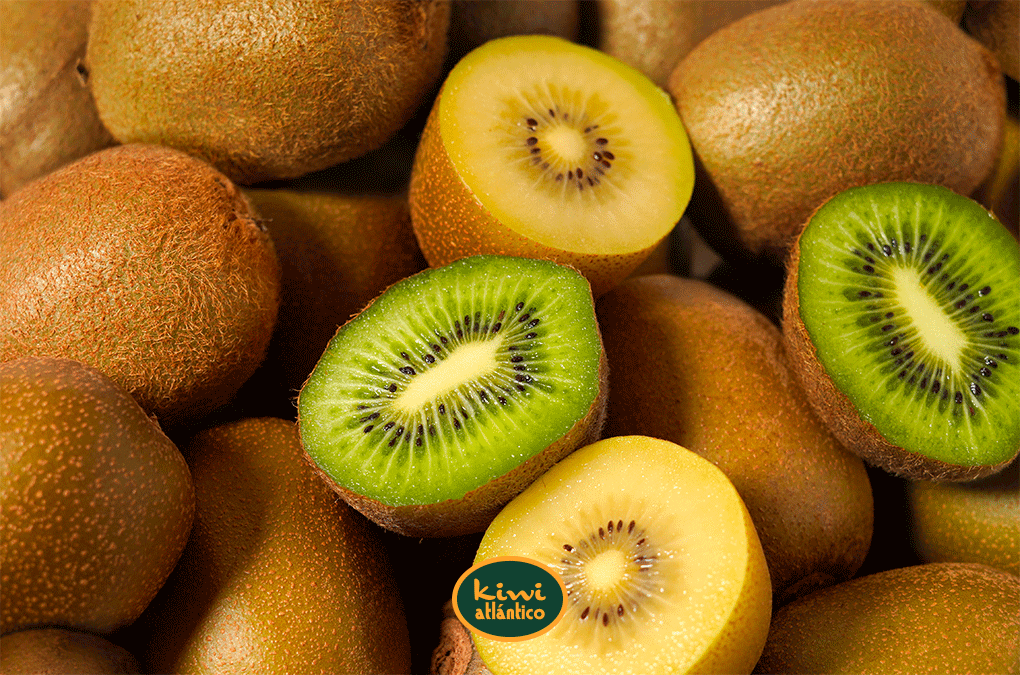 ¿Kiwi verde o amarillo? ¿Cuál es mejor para tu salud?