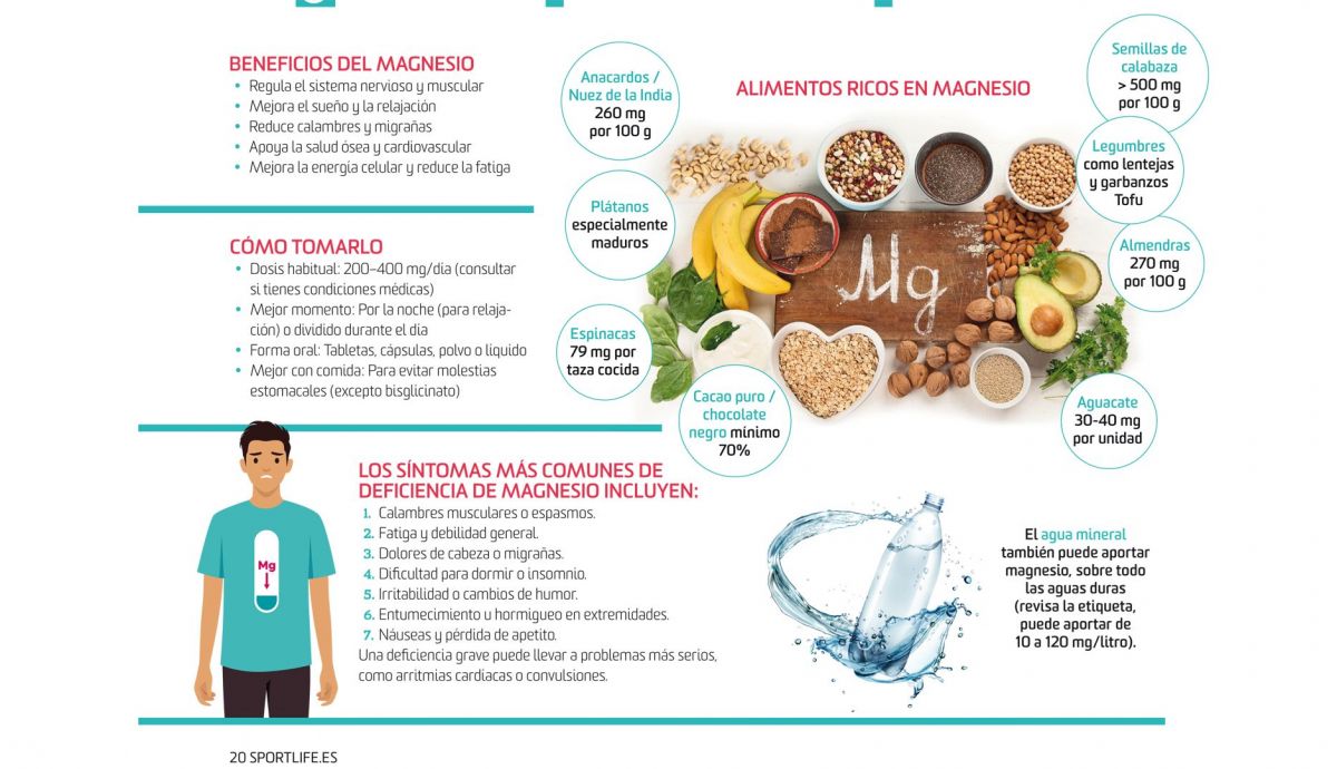Alimentos ricos en magnesio Alimentos ricos en magnesio