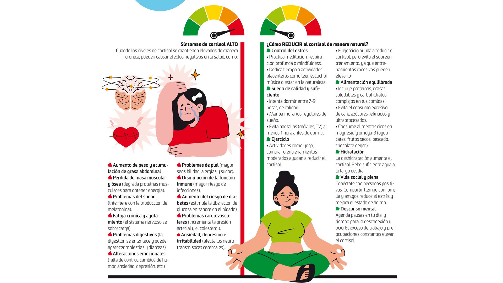 Cortisol, la hormona del estrés, aprende a controlarla