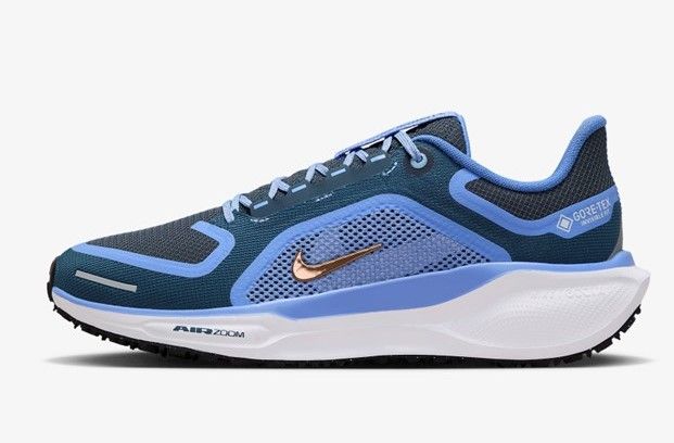 Nike Pegasus 41 GORE-TEX 