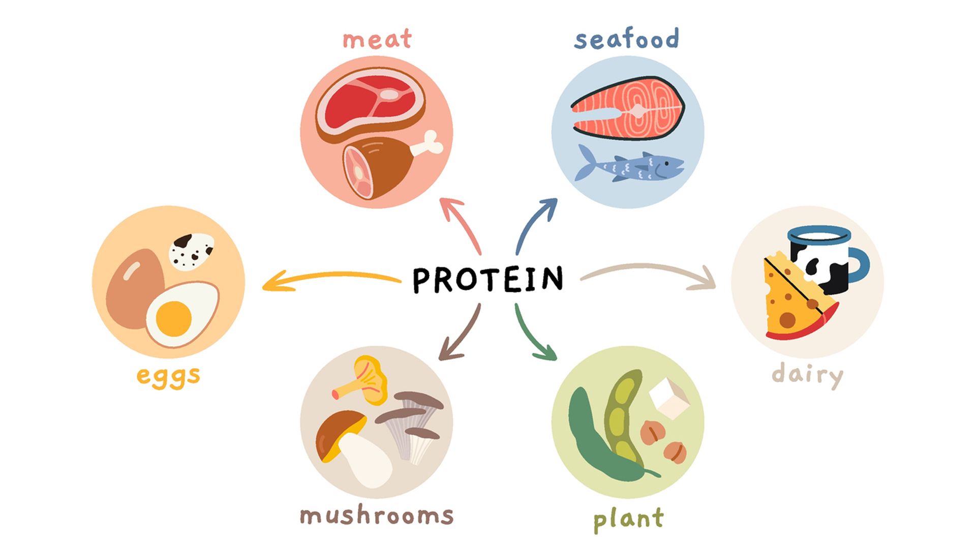 Es mejor la proteína vegetal o la animal a la hora de ganar músculo