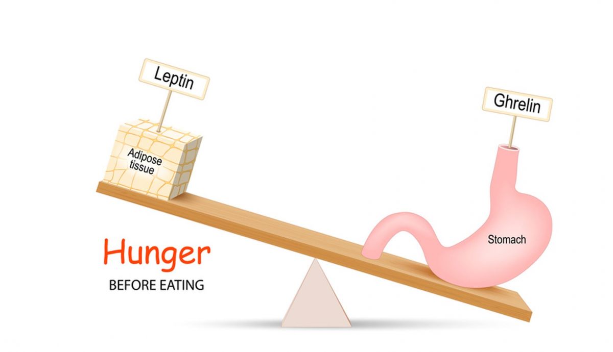 Control del hambre antes de comer Control del hambre antes de comer