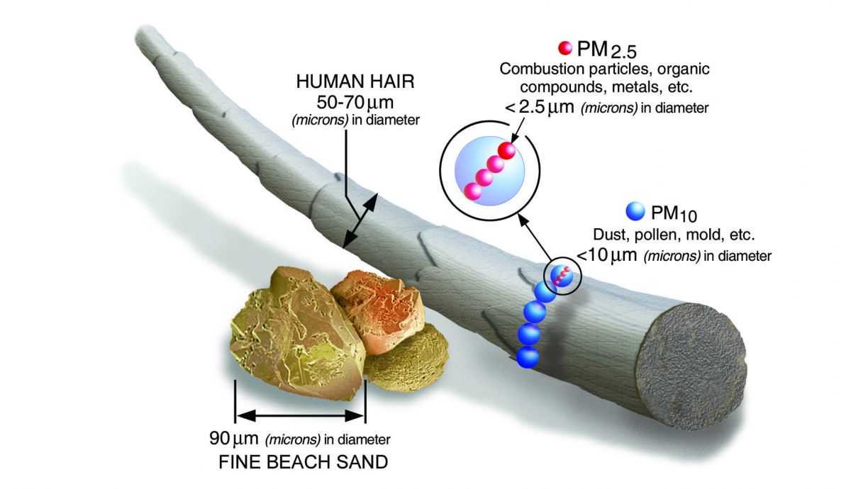 Escala de cabello y partículos PM 2.5 Escala de cabello y partículos PM 2.5