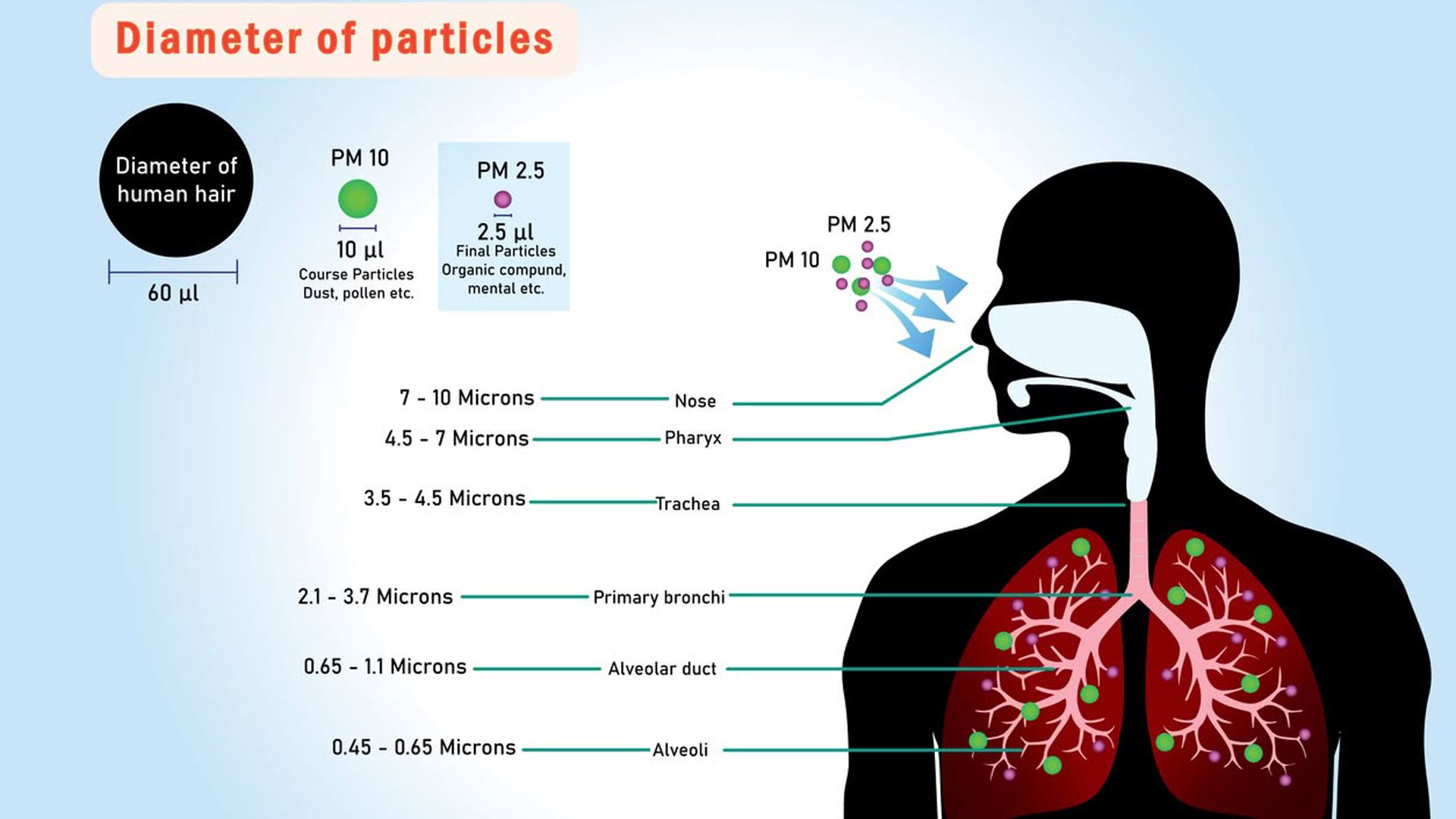 ¿Qué son las partículas PM 2.5 y PM 10 y por qué son peligrosas para la salud?