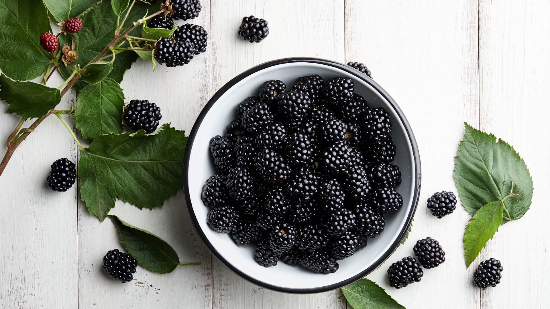 Moras, frutas del bosque llenas de antioxidantes