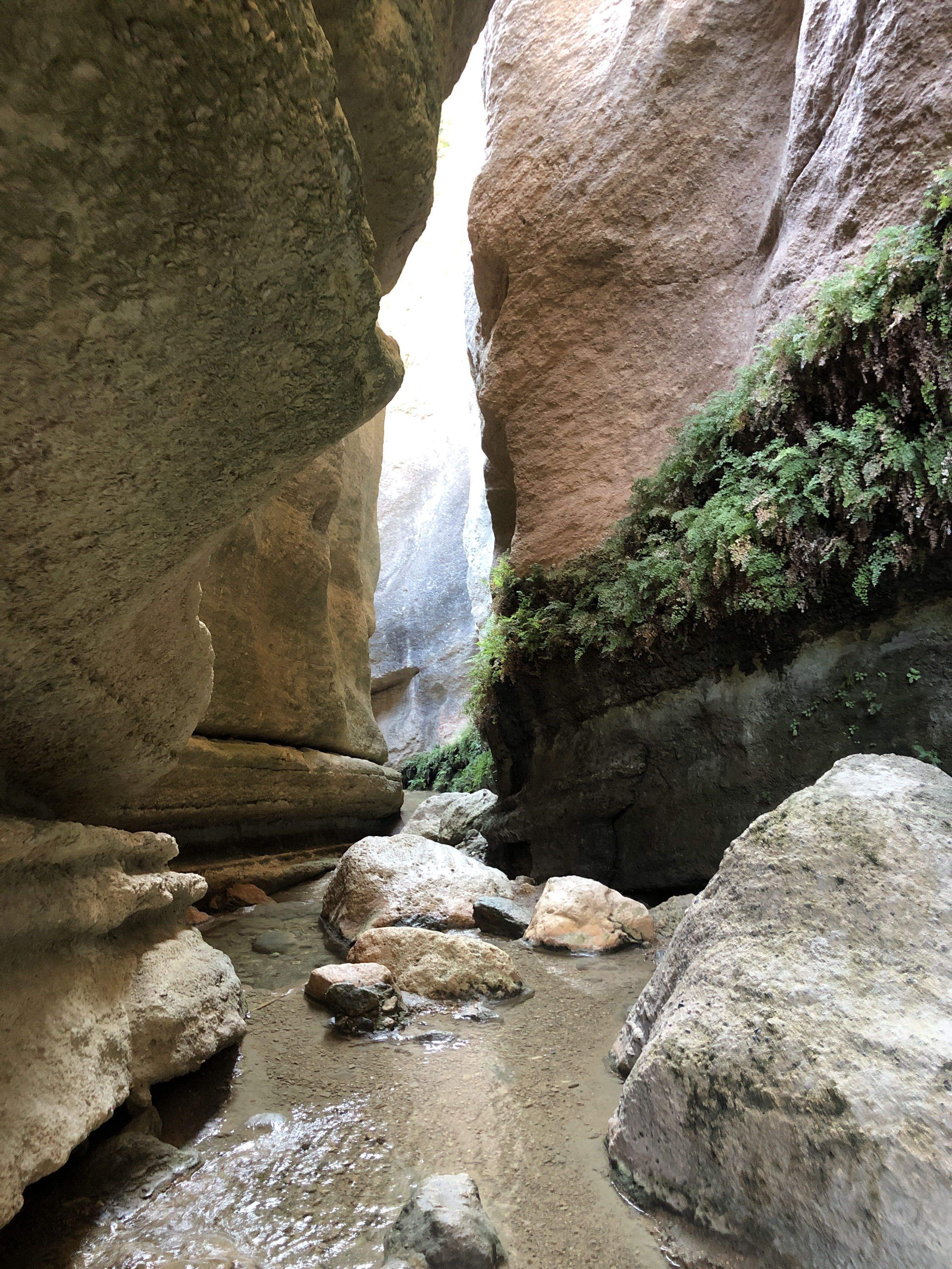 @farcom62 (Ruta Barranco de Luna)