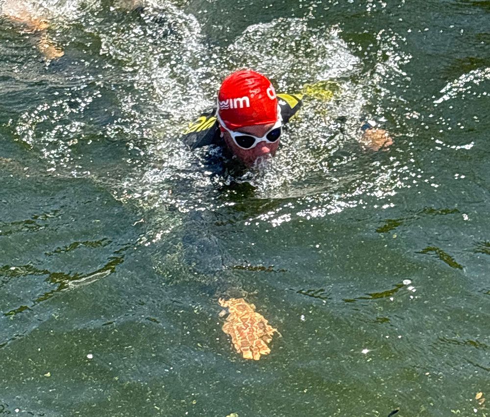 Orientación en aguas abiertas