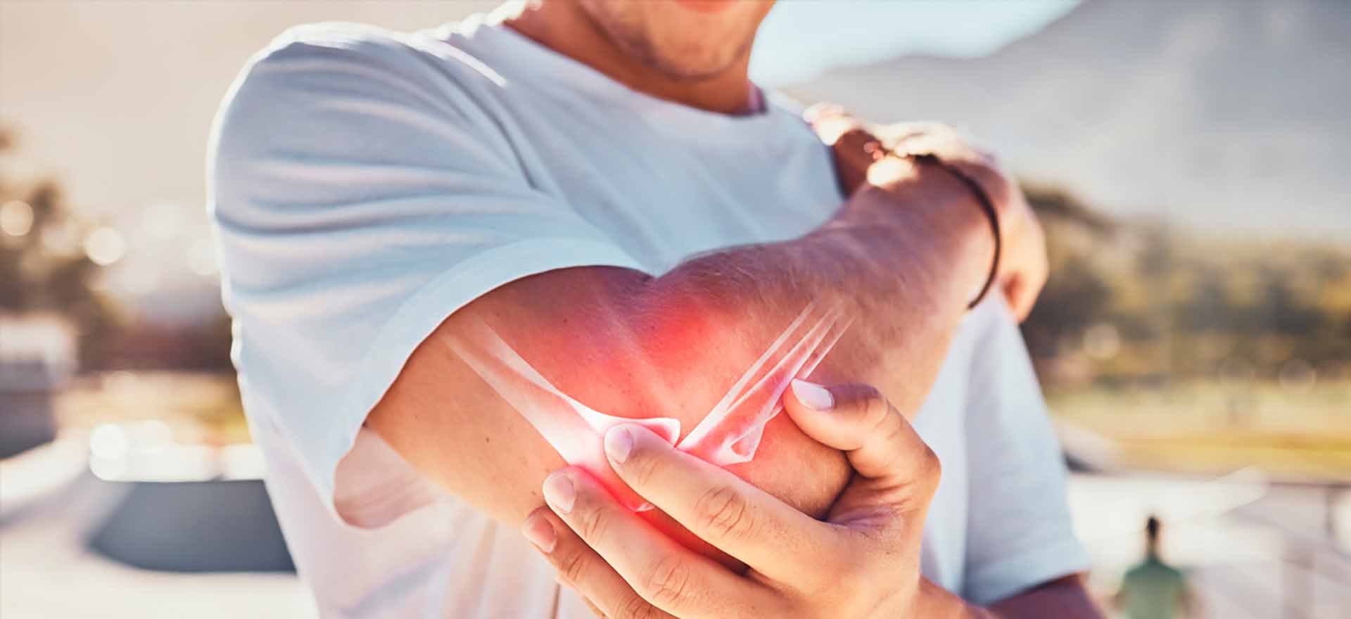La semilla de aguacate, alivio natural para el dolor articular