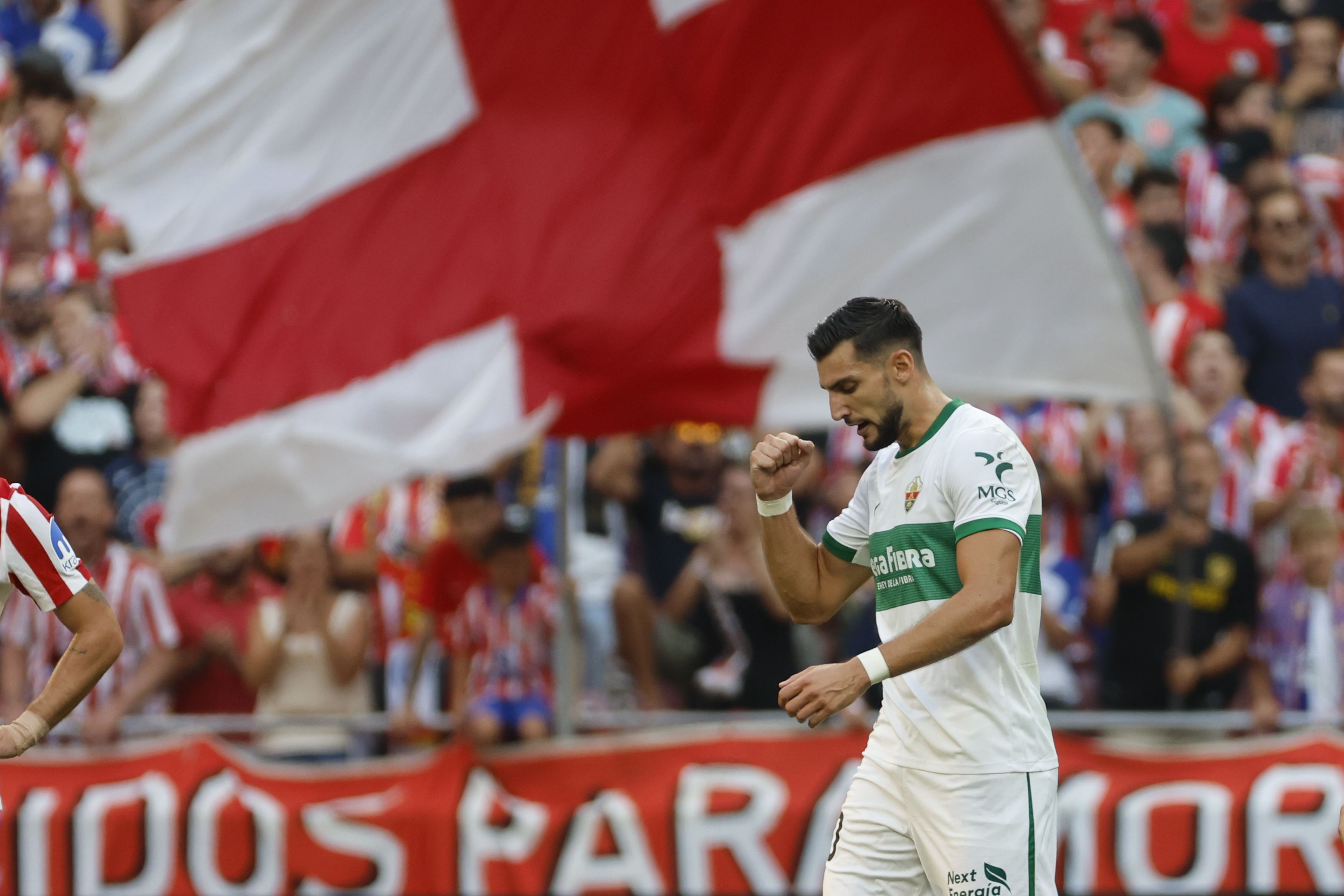 Rafa Mir