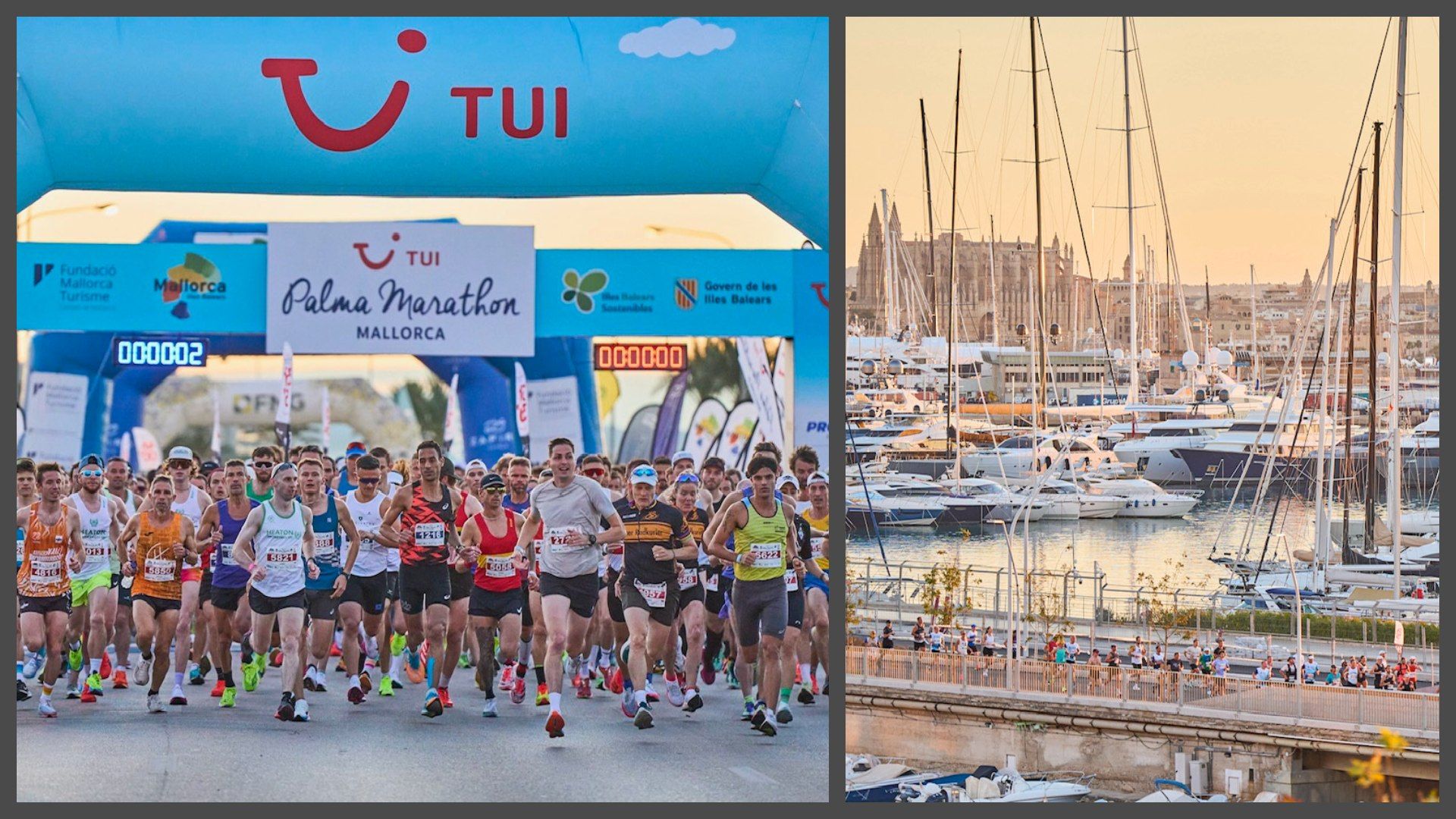 8.500 participantes en el TUI Palma Marathon Mallorca del próximo domingo