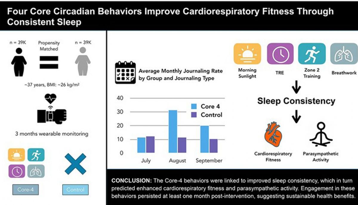 "Four Core", el estudio que analiza los 4 pilares de la salud para mejorar el sueño "Four Core", el estudio que analiza los 4 pilares de la salud para mejorar el sueño