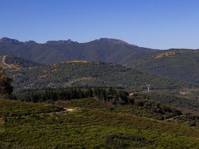 Imagen del Monte Pajariel en León