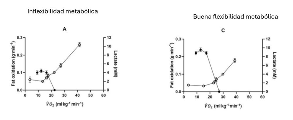 Gráficas comparativas de flexibilidad metabólica