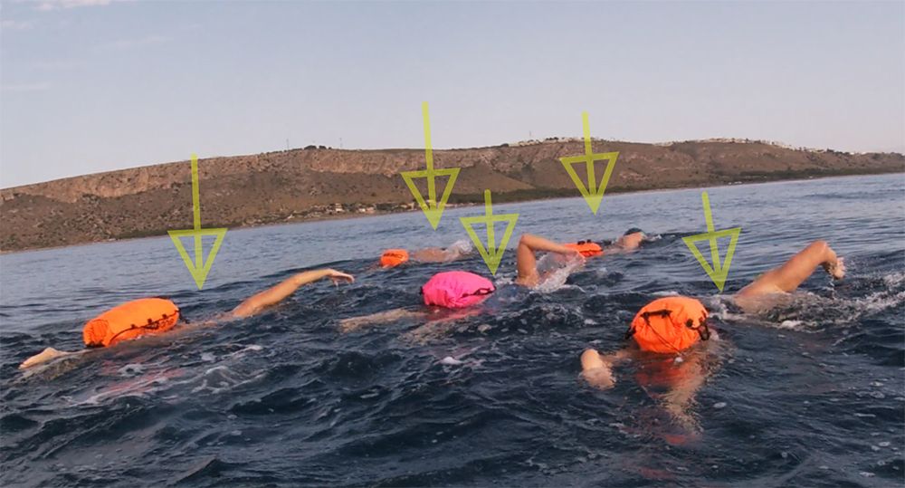 Nado en formación 2 3