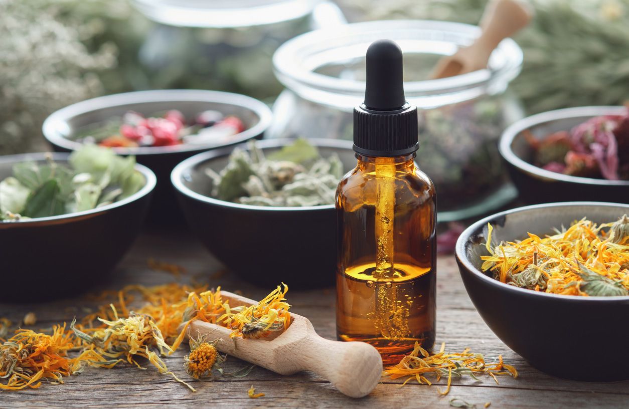 Plantas medicinales para la salud diaria, de la digestión al insomnio