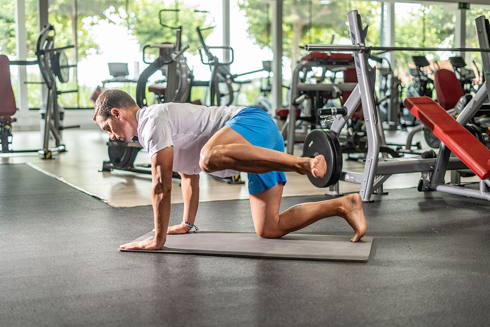 Círculos de cadera en cuadrupedia