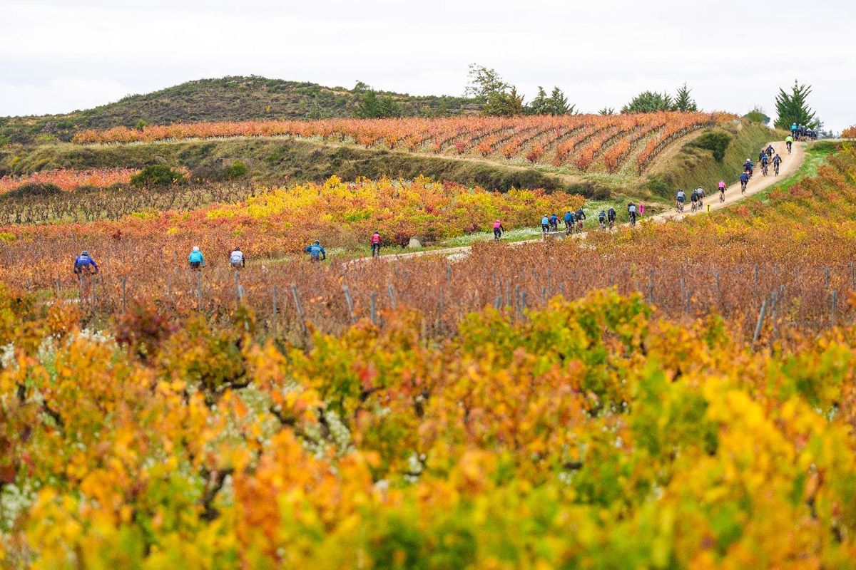 50 Orbea Rioja alavesa