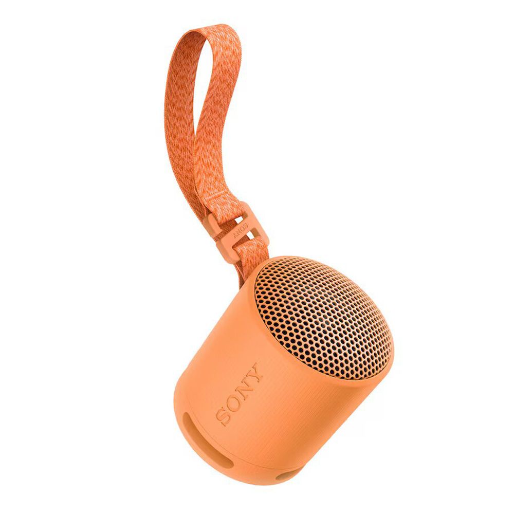 Altavoz Sony SRS xb100